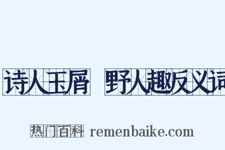 诗人玉屑·野人趣反义词是什么意思的图片